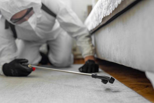 Professional Bed Bug Control technician working in Manchester, MI
