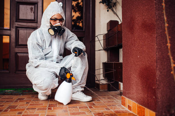 Reliable Bed Bug Control contractor in Manchester, MI by Nex Pest Control