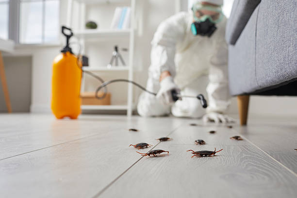 Trusted Rodent Control service in Manchester, MI - Nex Pest Control