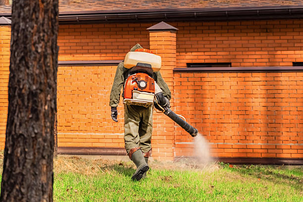 Trusted Bed Bug Control service in Manchester, MI - Nex Pest Control